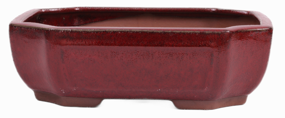 Bonsai - Schale eckig 27.5 x 21 x 8.5 cm bordeaux 30133