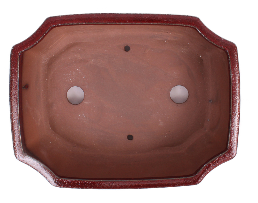 Preview: Bonsai - Schale eckig 27.5 x 21 x 8.5 cm bordeaux 30133