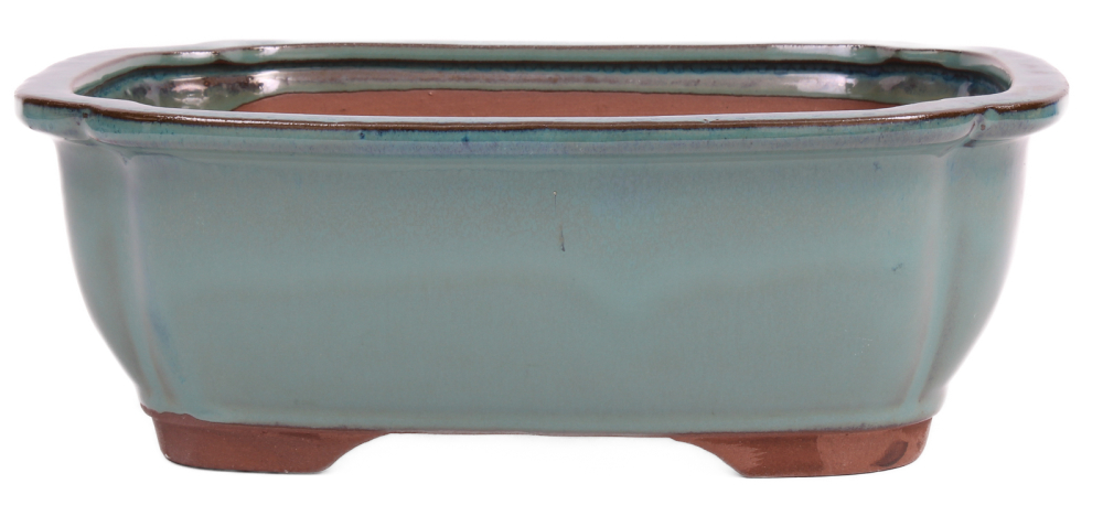 Bonsai - Schale eckig 26.5 x 21 x 9.5 cm grün 30134