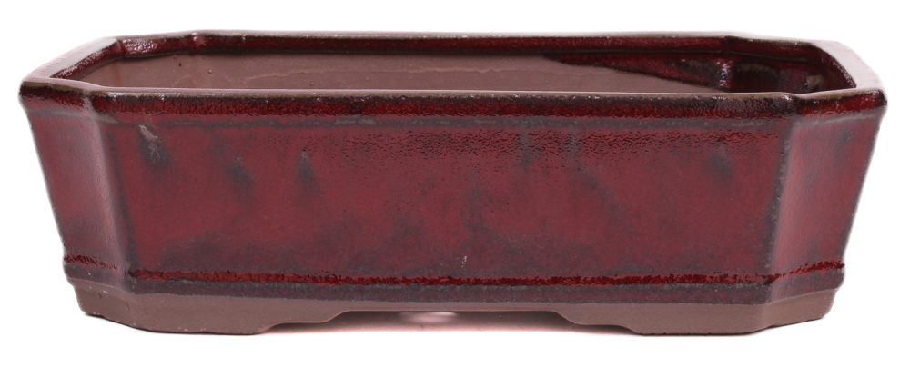 Bonsai - Schale eckig 26 x 20 x 7.5 cm bordeaux  30140