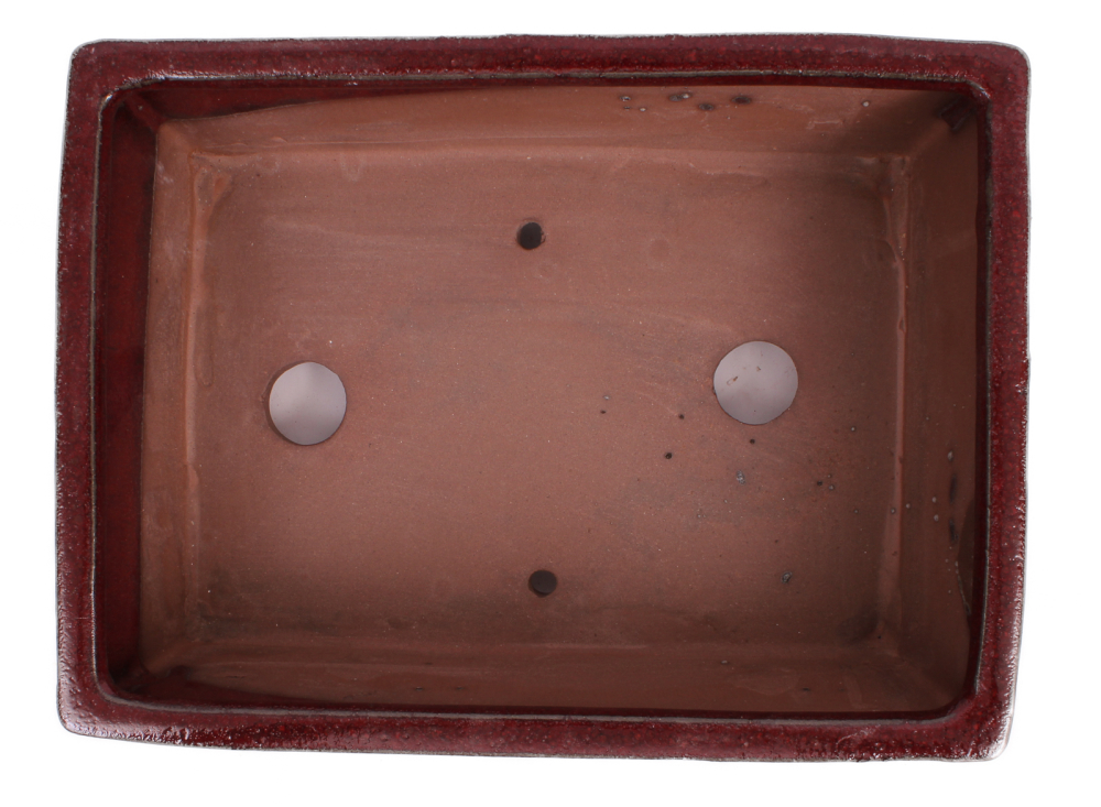 Preview: Bonsai - Schale eckig 24.5 x 18 x 8.5 cm bordeaux 30141