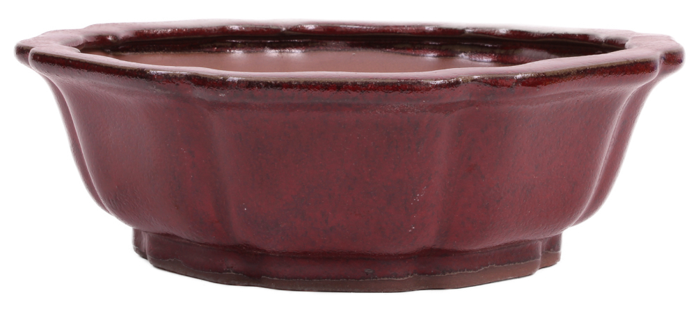 Bonsai - Schale rund 26.5 Ø x 8.5 cm bordeaux 30168