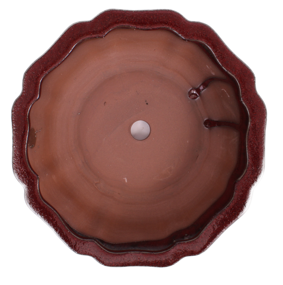 Preview: Bonsai - Schale rund 26.5 Ø x 8.5 cm bordeaux 30168