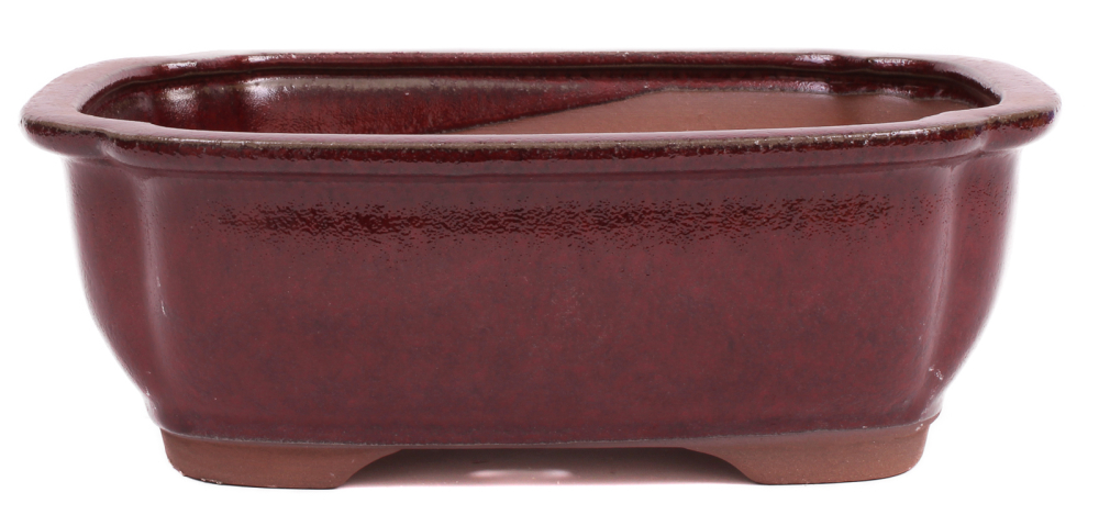 Preview: Bonsai - Schale eckig 26.5 x 21 x 9.5 cm bordeaux 30170