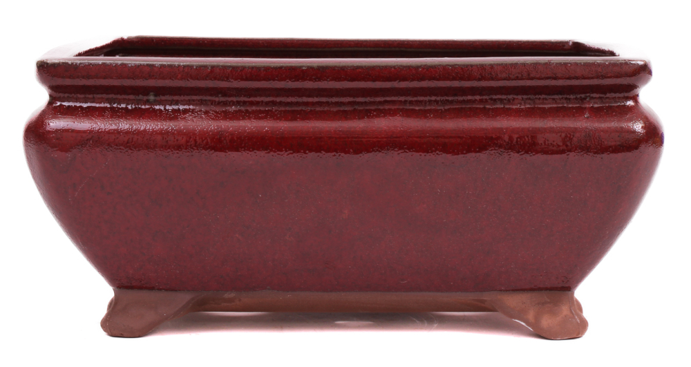 Bonsai - Schale eckig 26 x 21 x 12 cm bordeaux  30186