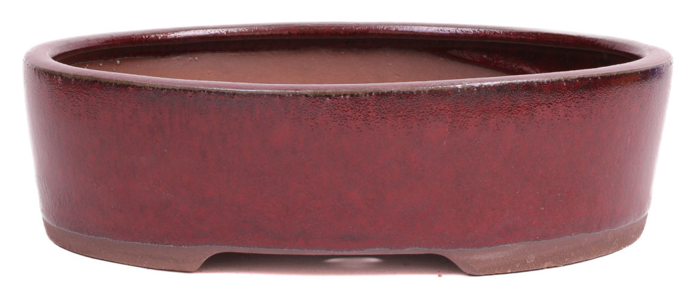 Bonsai - Schale oval 25.5 x 20.5 x 7.2 cm bordeaux  30191