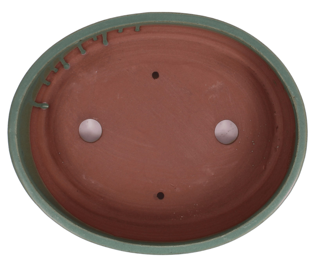 Preview: Bonsai - Schale  oval 26.5 x 22 x 6.5 cm mattgrün 30194
