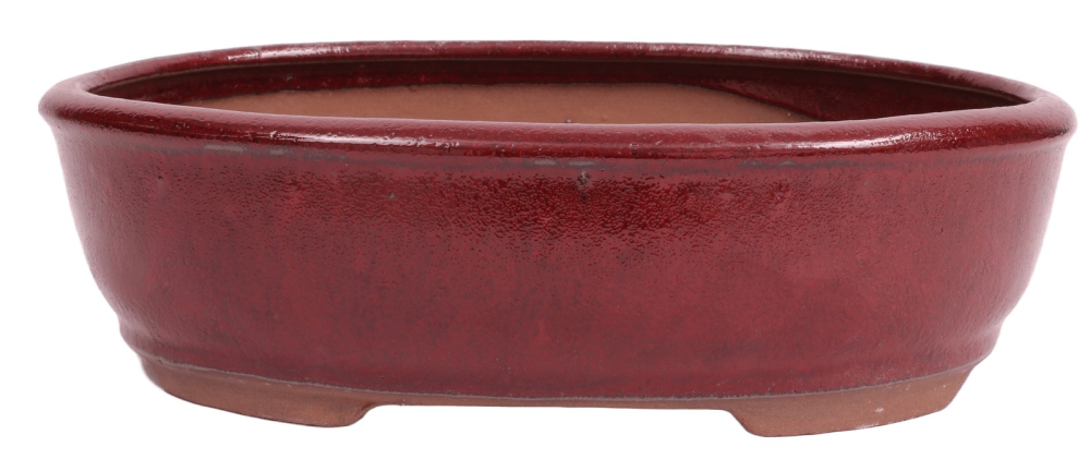 Bonsai - Schale oval 26.5 x 20 x 7.5 cm  bordeauxfarben 30198