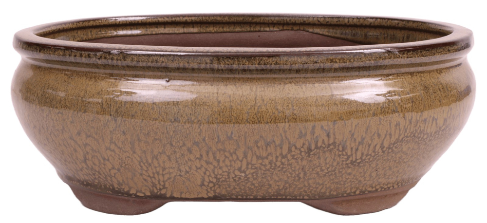 Bonsai - Schale oval 26 x 20 x 9.5 cm   braun 30202