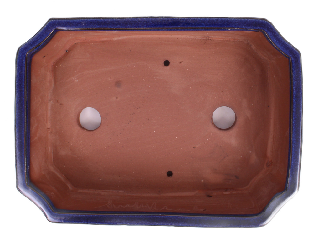 Preview: Bonsai - Schale eckig 26 x 20 x 7.5 cm blau  30428