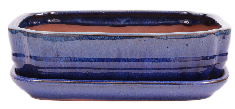 Preview: Bonsai - Schale eckig 27 x 20.5 x 7.5 cm , grün / blau , mit Untersetzer 31135