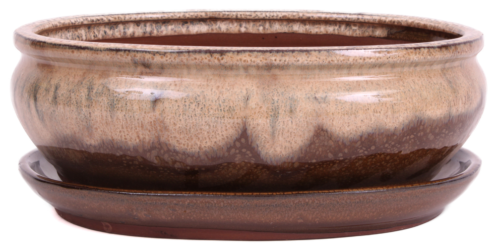 Preview: Bonsai - Schale oval 25.5 x 20 x 9.5 cm , beige / braun , mit Untersetzer 31137