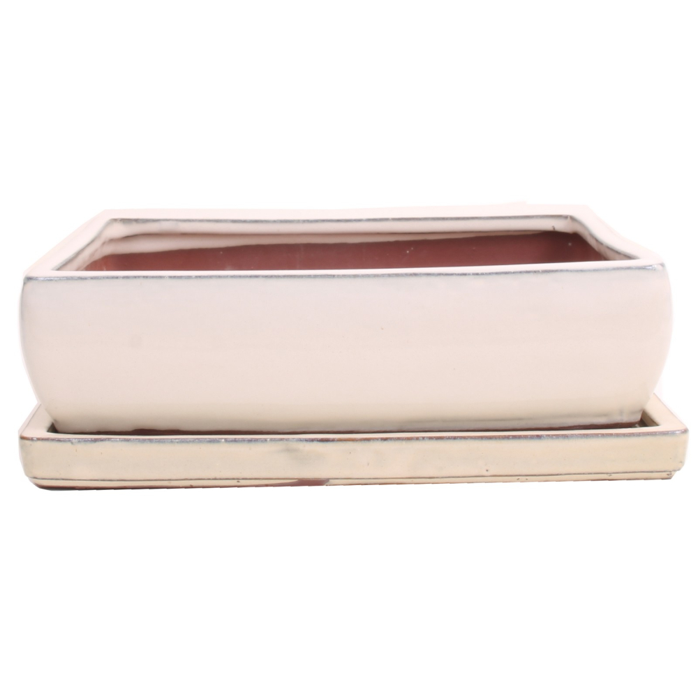 Bonsai - Schale eckig 27 x 21,5 x 8,5 cm, cremefarben, mit Untersetzer 31924