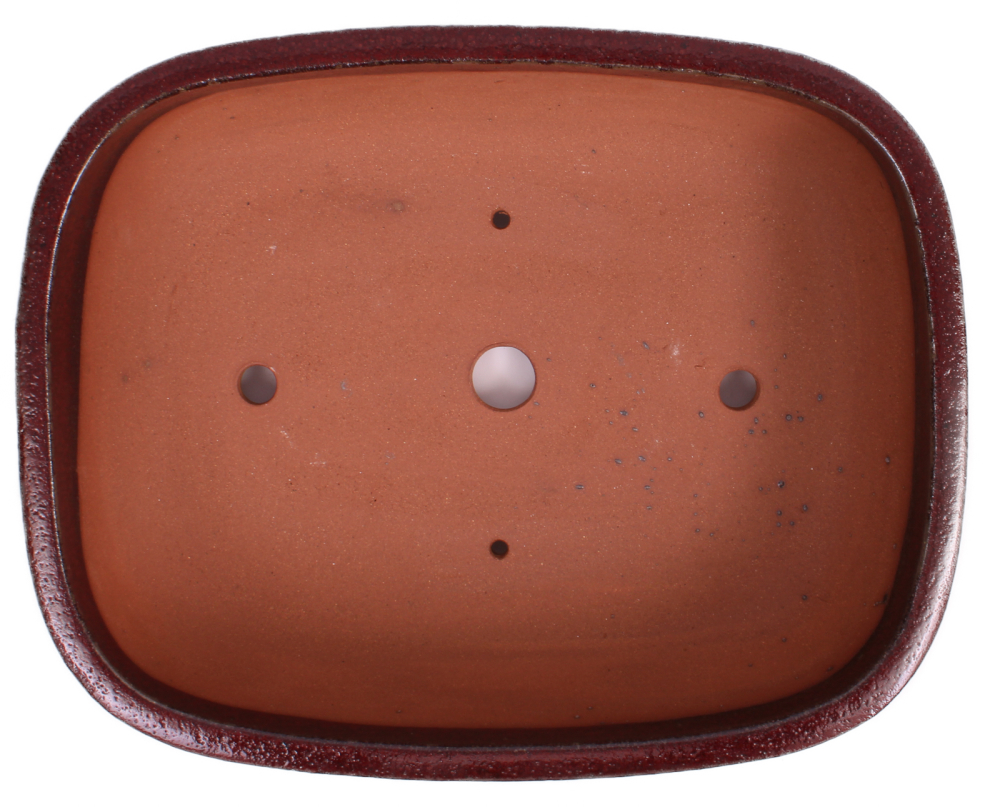 Preview: Bonsai - Schale  eckig 37 x 29 x 10.5 cm bordeaux 40076