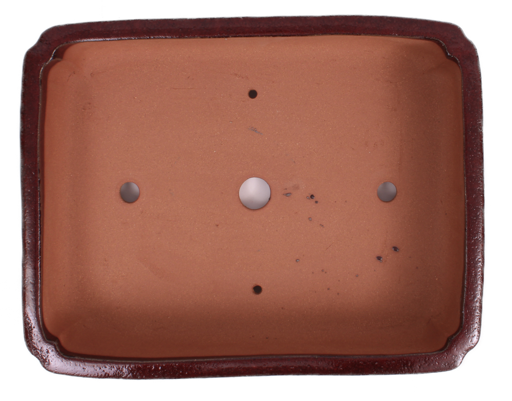 Preview: Bonsai - Schale  eckig  37 x 29 x 8.5 cm bordeaux 40082