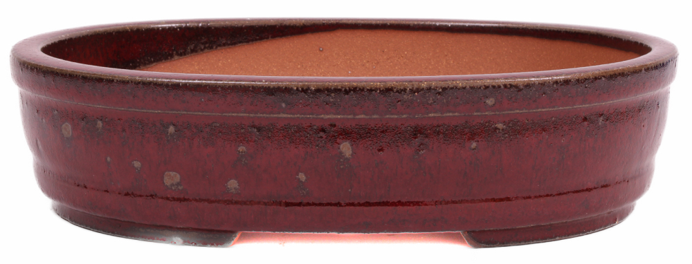 Bonsai - Schale  oval  30.5 x 24 x 7.5 cm bordeaux frostfest 40145