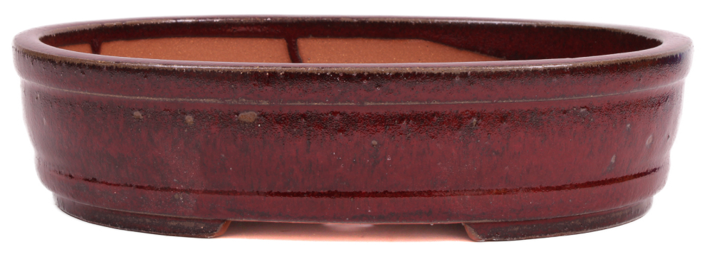 Preview: Bonsai - Schale  oval  30.5 x 24 x 7.5 cm bordeaux frostfest 40145