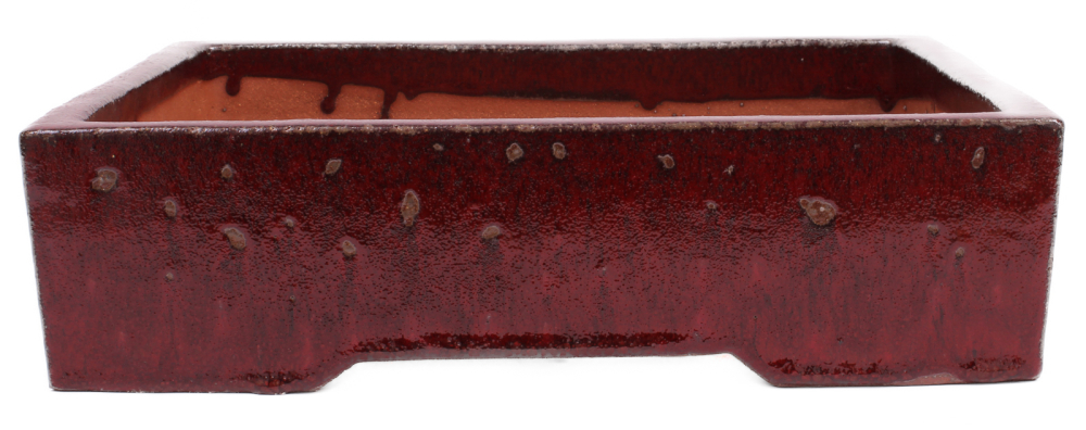 Bonsai - Schale  eckig  35 x 29 x 9.5 cm bordeaux frostfest 40147 2.Wahl