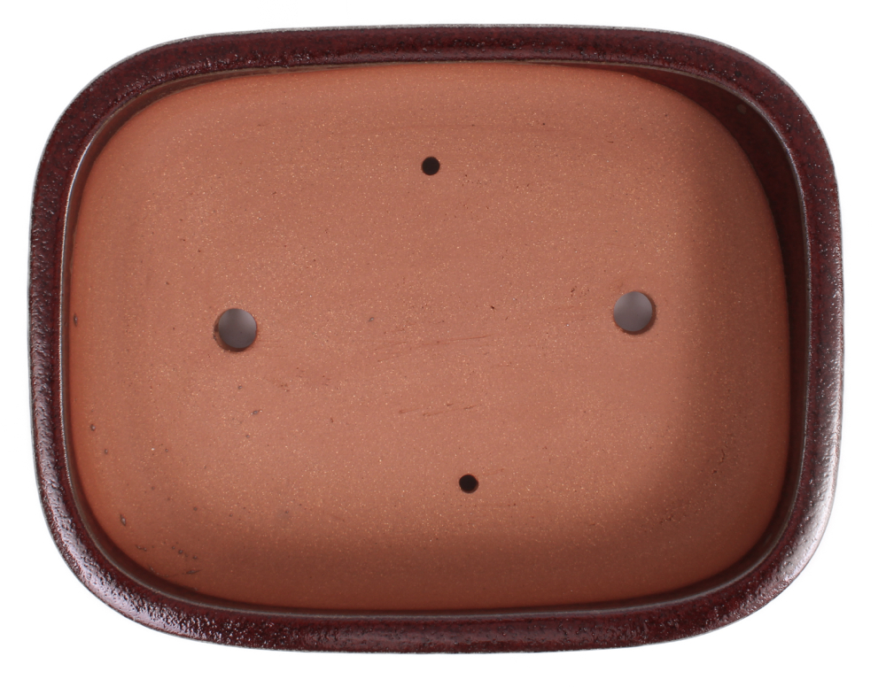 Preview: Bonsai - Schale  eckig 32 x 25 x 7.5 cm bordeaux frostfest 40155