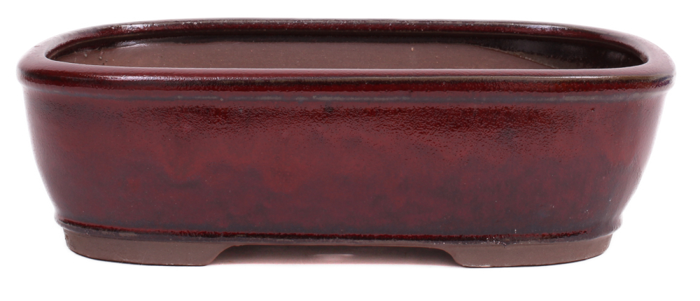 Bonsai - Schale eckig 32 x 24 x 10 cm bordeaux 40157