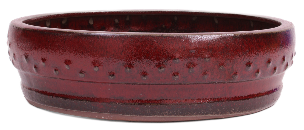 Bonsai - Schale rund 31 Ø x 9 cm bordeaux  40159