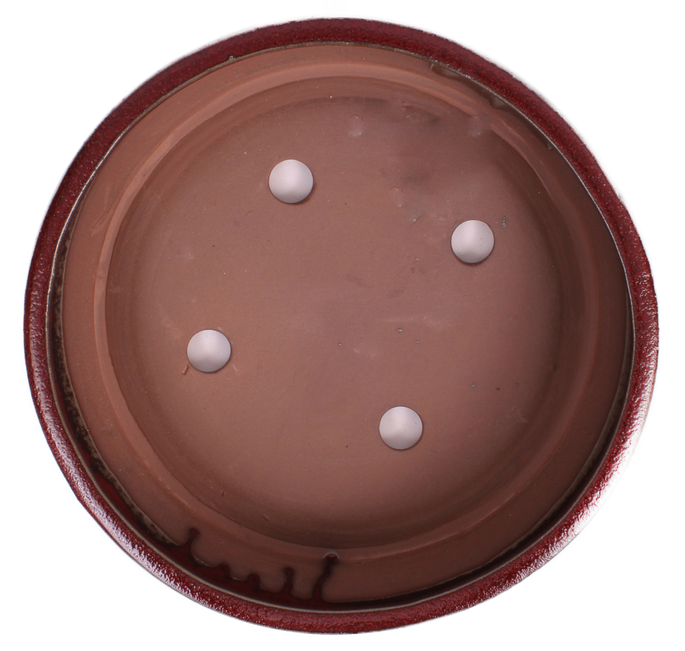 Preview: Bonsai - Schale rund 31 Ø x 9 cm bordeaux  40159