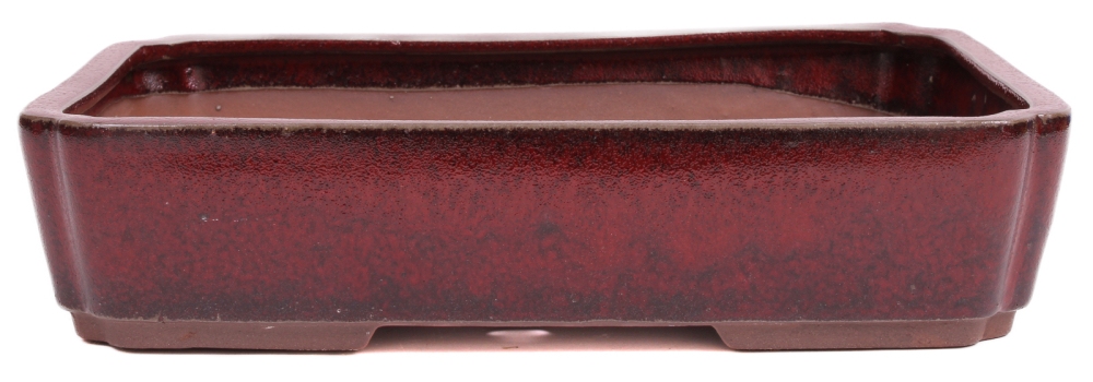 Bonsai - Schale eckig 31.5 x 22.5 x 7 cm bordeaux  40167