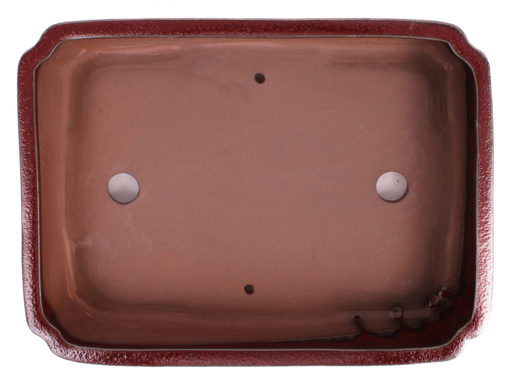 Preview: Bonsai - Schale eckig 31.5 x 22.5 x 7 cm bordeaux  40167