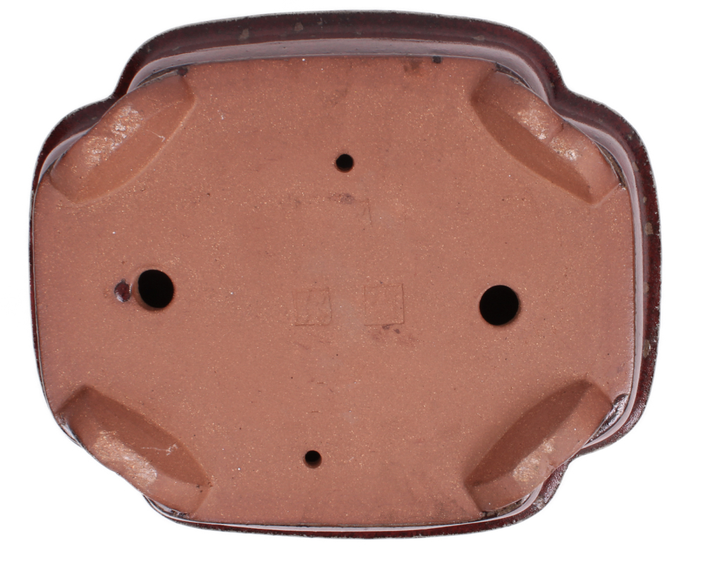 Bonsai - Schale  eckig  31 x 27 x 11 cm boreaux frostfest 40170