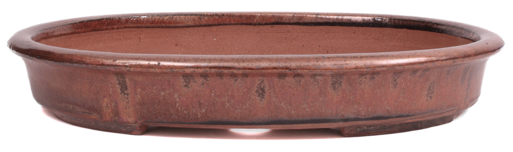 Bonsai - Schale oval 48 x 38.5 x 8 cm kupfer  frostfest 40242