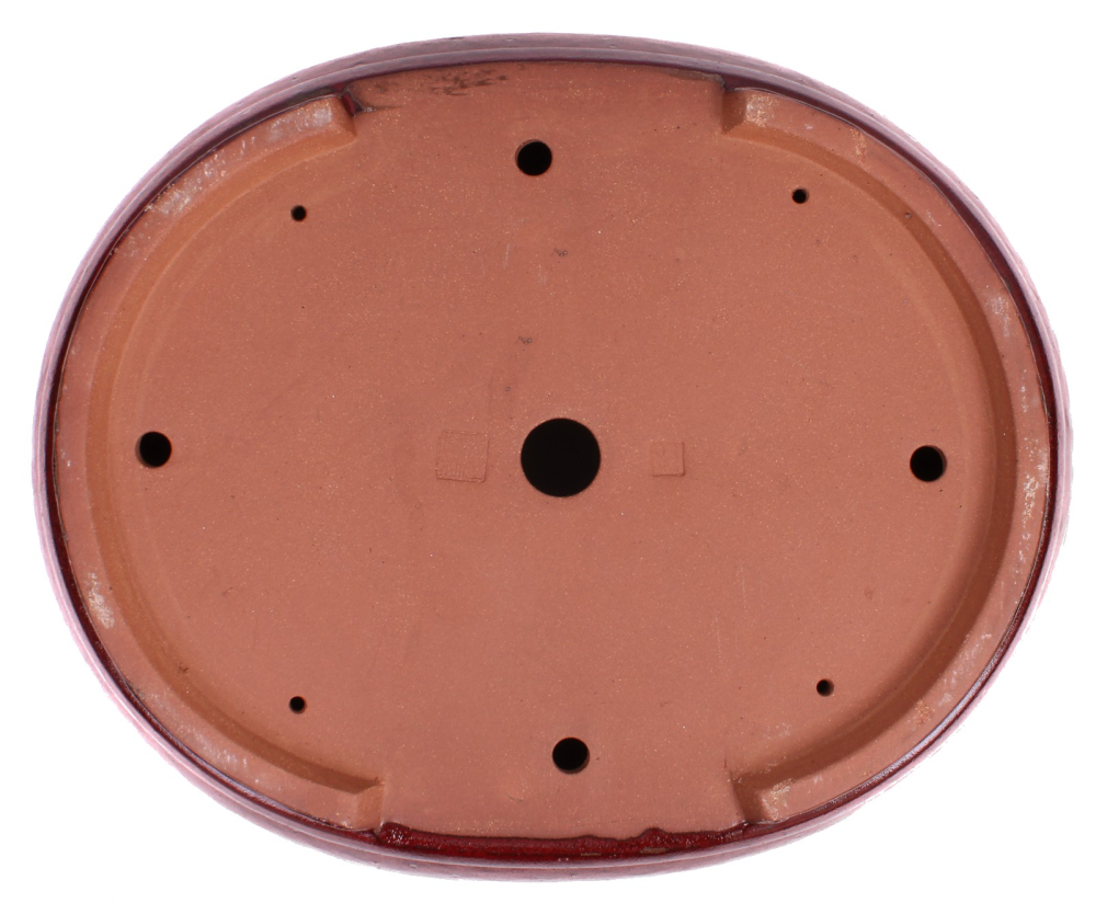 Preview: Bonsai - Schale  oval 55.5 x 45.5 x 13 cm bordeaux frostfest 40171