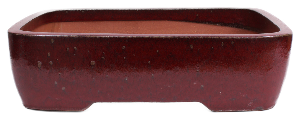 Bonsai - Schale eckig 53 x 42 x 10 cm bordeaux frostfest 40178