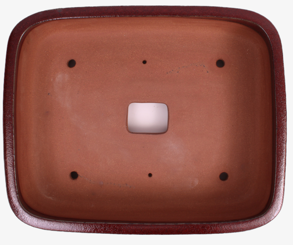 Preview: Bonsai - Schale eckig 53 x 42 x 10 cm bordeaux frostfest 40178