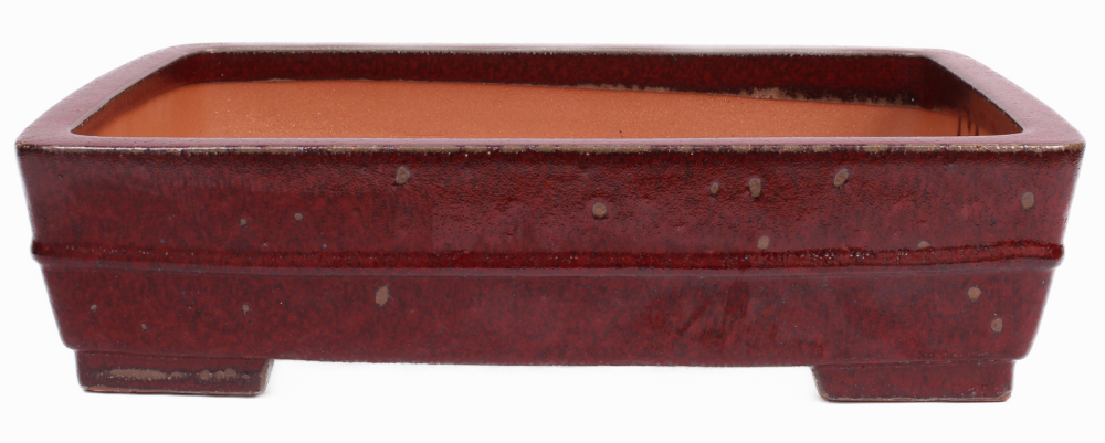 Bonsai - Schale eckig 42 x 31 x 11 cm bordeaux frostfest  40181