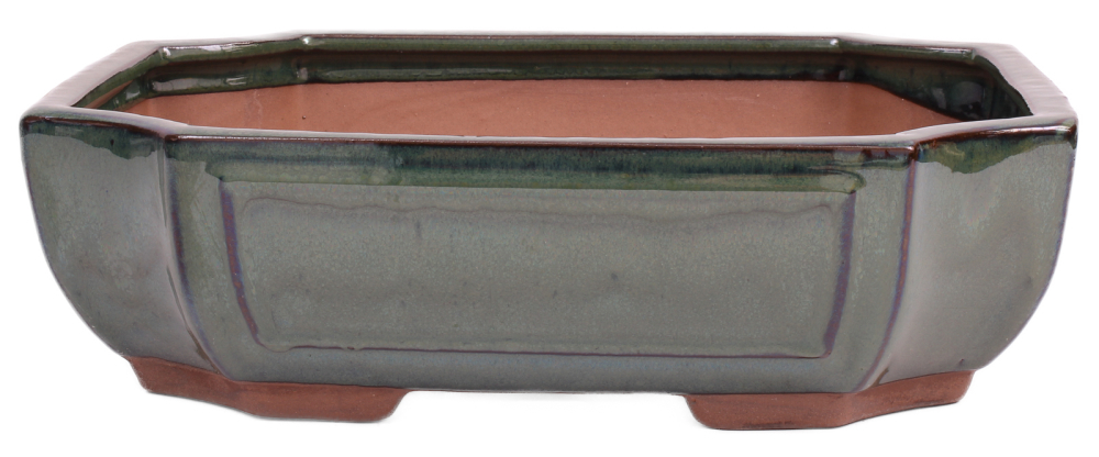 Bonsai - Schale eckig 32 x 24 x 9.5 cm moosgrün 40186