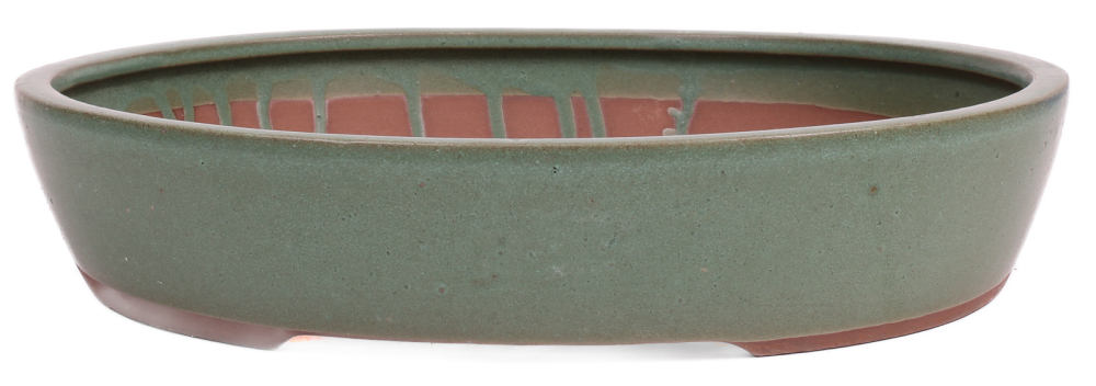 Bonsai - Schale oval 32 x 27.5 x 6.5 cm matt grün 40188
