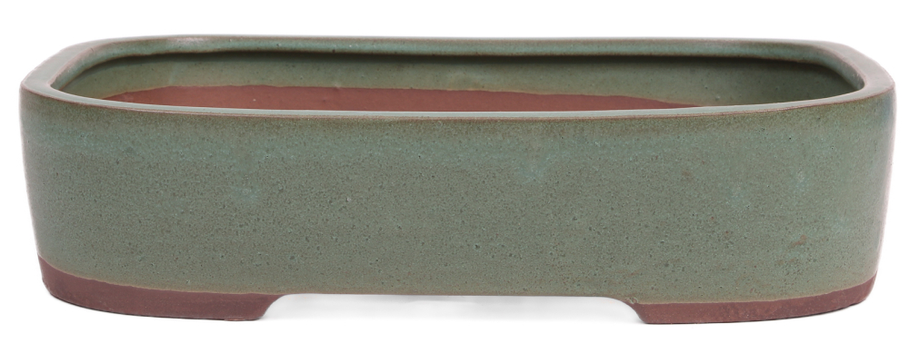 Bonsai - Schale eckig 31 x 25 x 7.3 cm mattgrün 40190