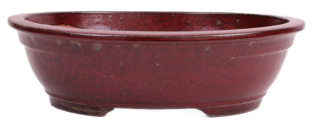 Bonsai - Schale oval 37 x 31.5 x 11 cm bordeaux 40191