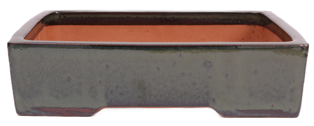 Preview: Bonsai - Schale  eckig  35.5 x 30.5 x 9.5 cm moosgrün  frostfest 40198