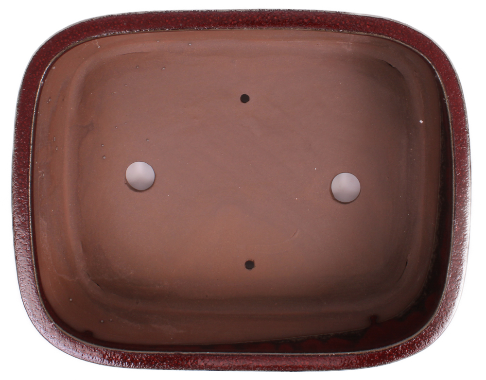 Preview: Bonsai - Schale  eckig  32 x 25.5 x 10.5 cm bordeaux 40202