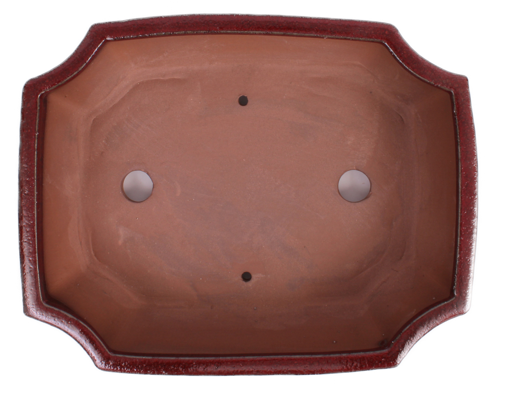 Preview: Bonsai - Schale eckig 32 x 24 x 9.5 cm bordeaux  40208