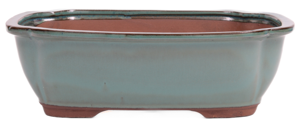 Bonsai - Schale eckig 33 x 26 x 10 cm grün 40209