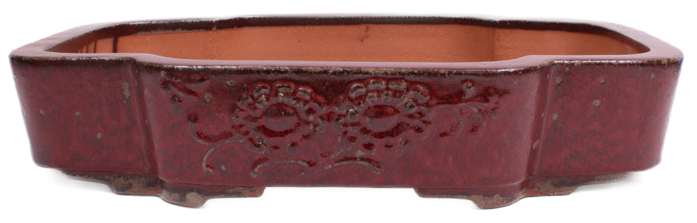 Preview: Bonsai - Schale eckig 53.5 x 44 x 11 cm bordeaux mit Relief  frostfest 40210