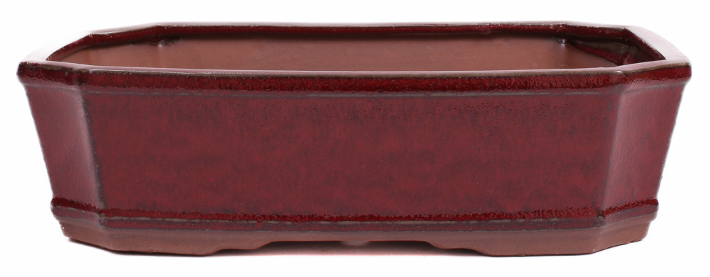 Bonsai - Schale eckig 32.5 x 23 x 9 cm bordeaux 40222