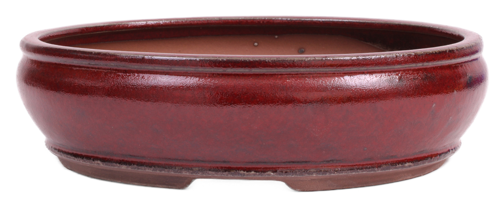 Bonsai - Schale oval 31 x 26.5 x 9 cm bordeaux 40225