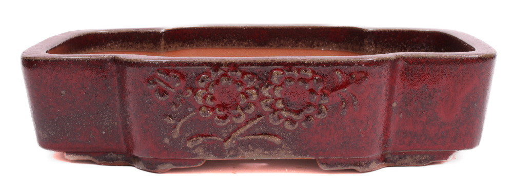 Bonsai - Schale oval 37 x 29.5 x 8.5 cm bordeaux frostfest 40227