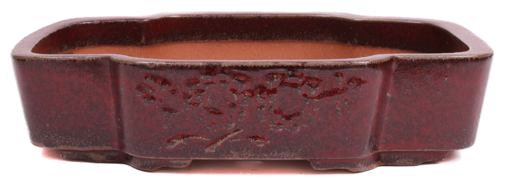 Preview: Bonsai - Schale oval 37 x 29.5 x 8.5 cm bordeaux frostfest 40227