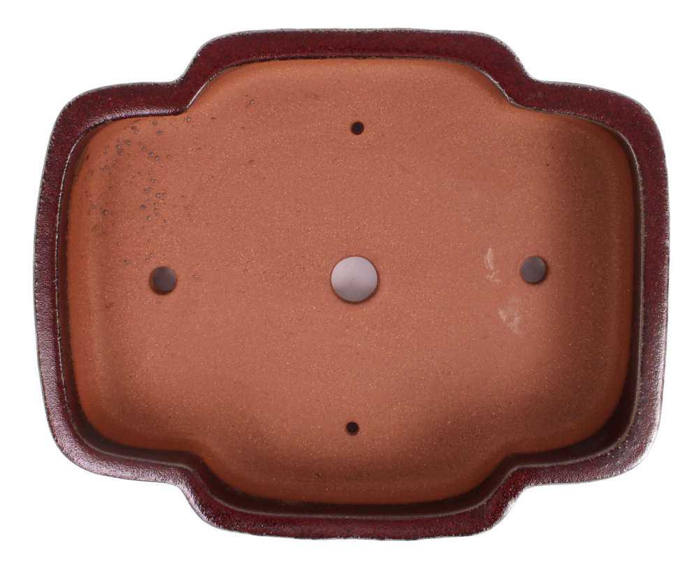 Preview: Bonsai - Schale oval 37 x 29.5 x 8.5 cm bordeaux frostfest 40227