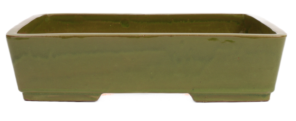 Preview: Bonsai - Schale eckig 36.5 x 27.5 x 9.5 cm grün 40230
