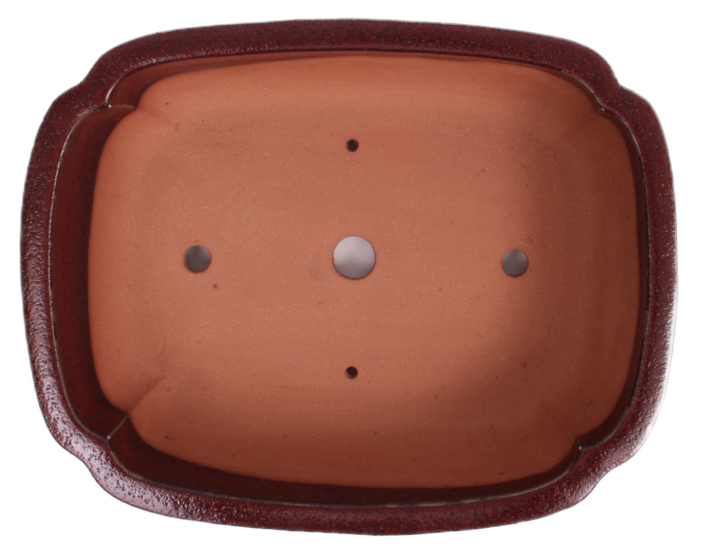 Preview: Bonsai - Schale eckig 38 x 30 x 11 cm bordeaux 40231